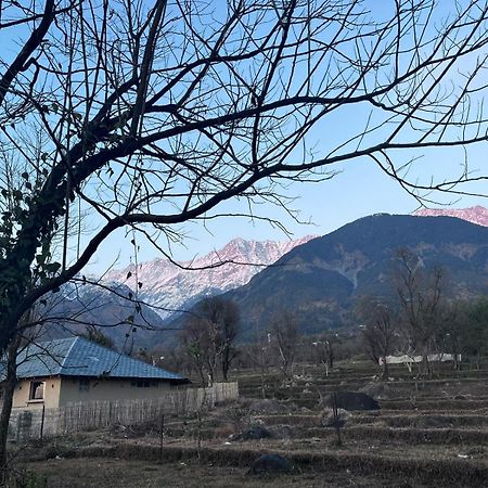 Pala Dharamshala - Mountain Cottage Eksteriør bilde