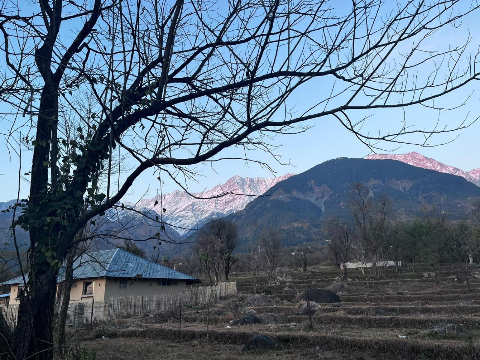 Pala Dharamshala - Mountain Cottage Eksteriør bilde